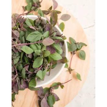 Natural Dry Stevia Leaf
